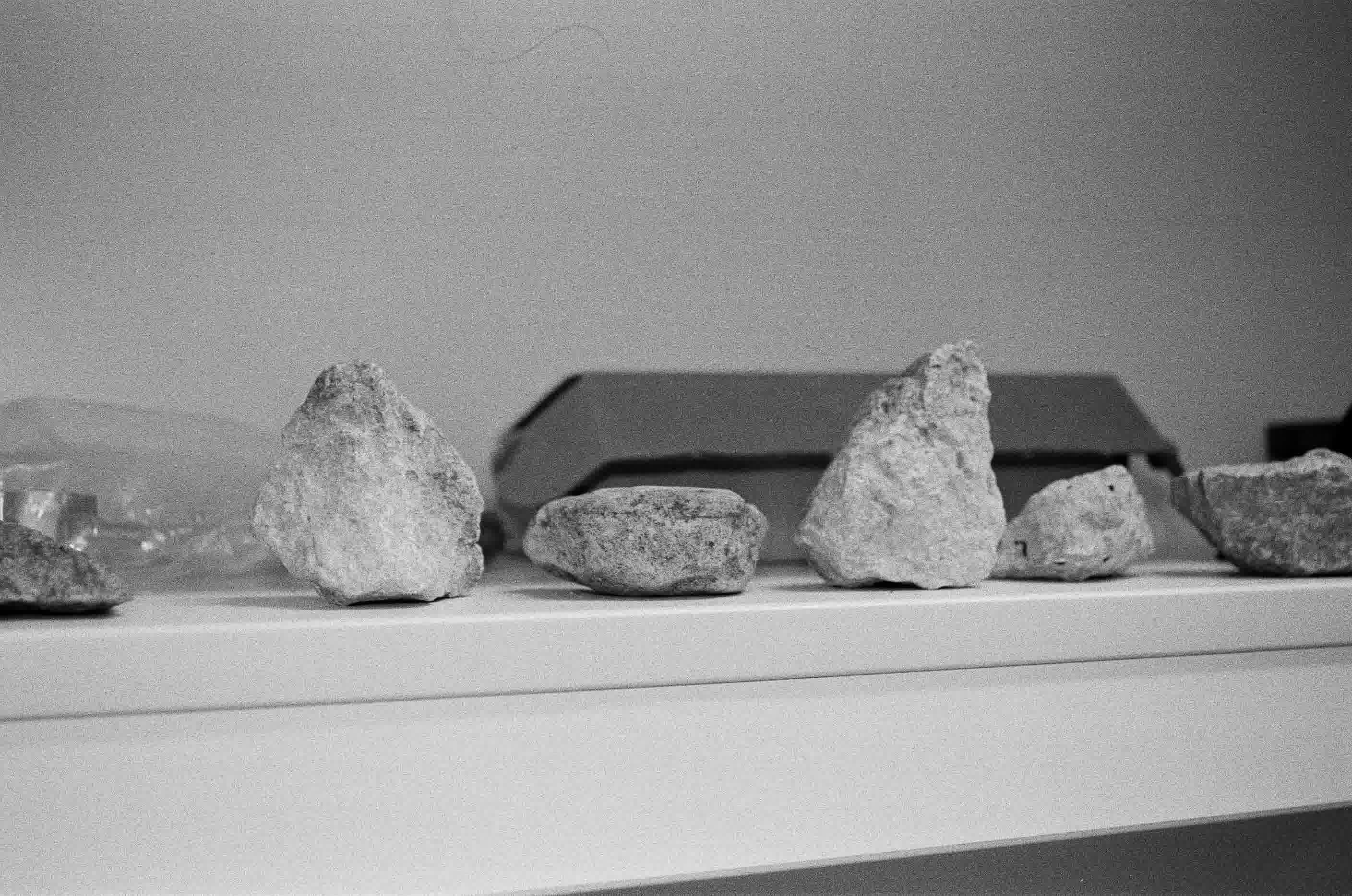 Photogrammetry session