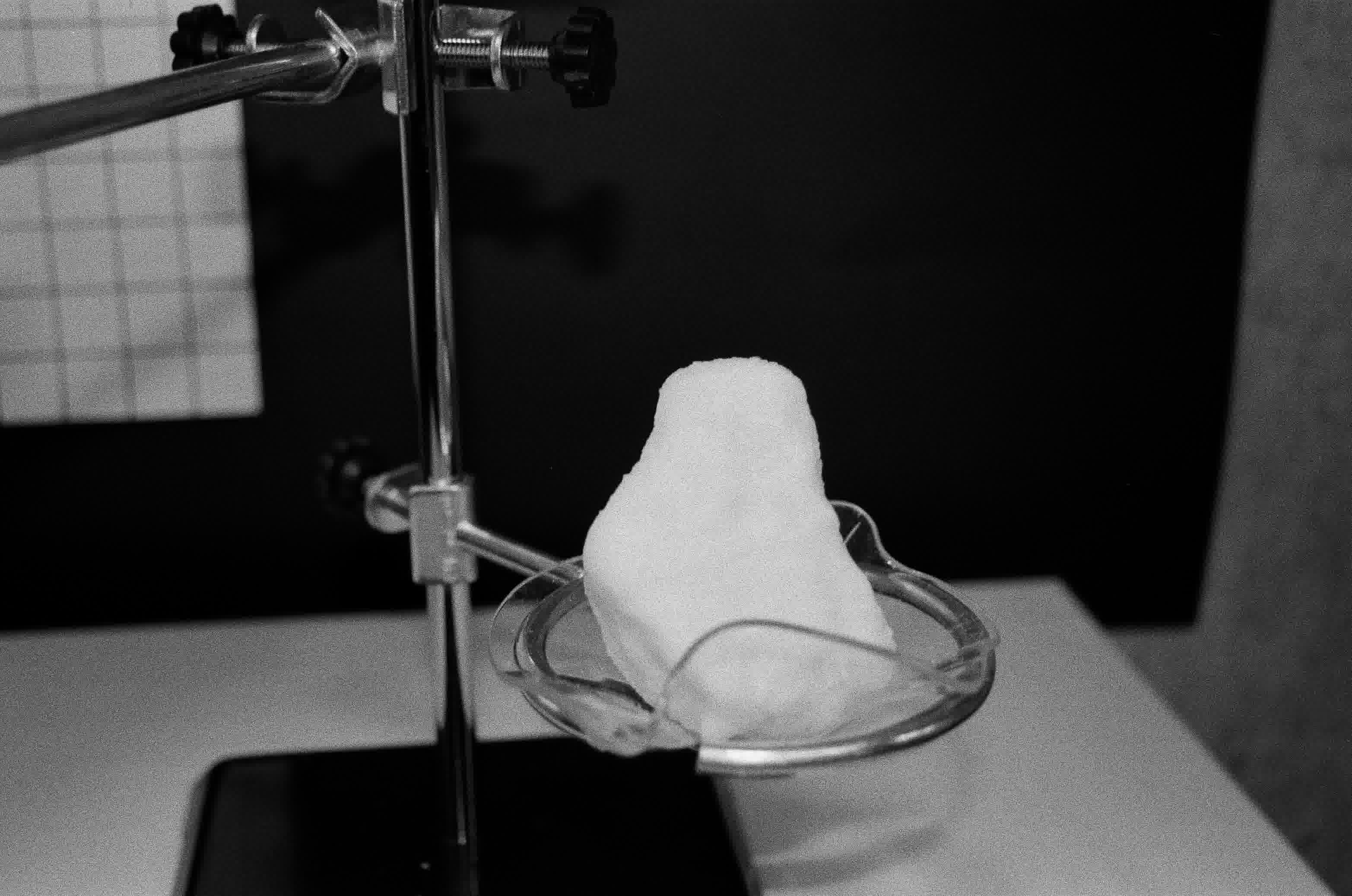 Exhibition
