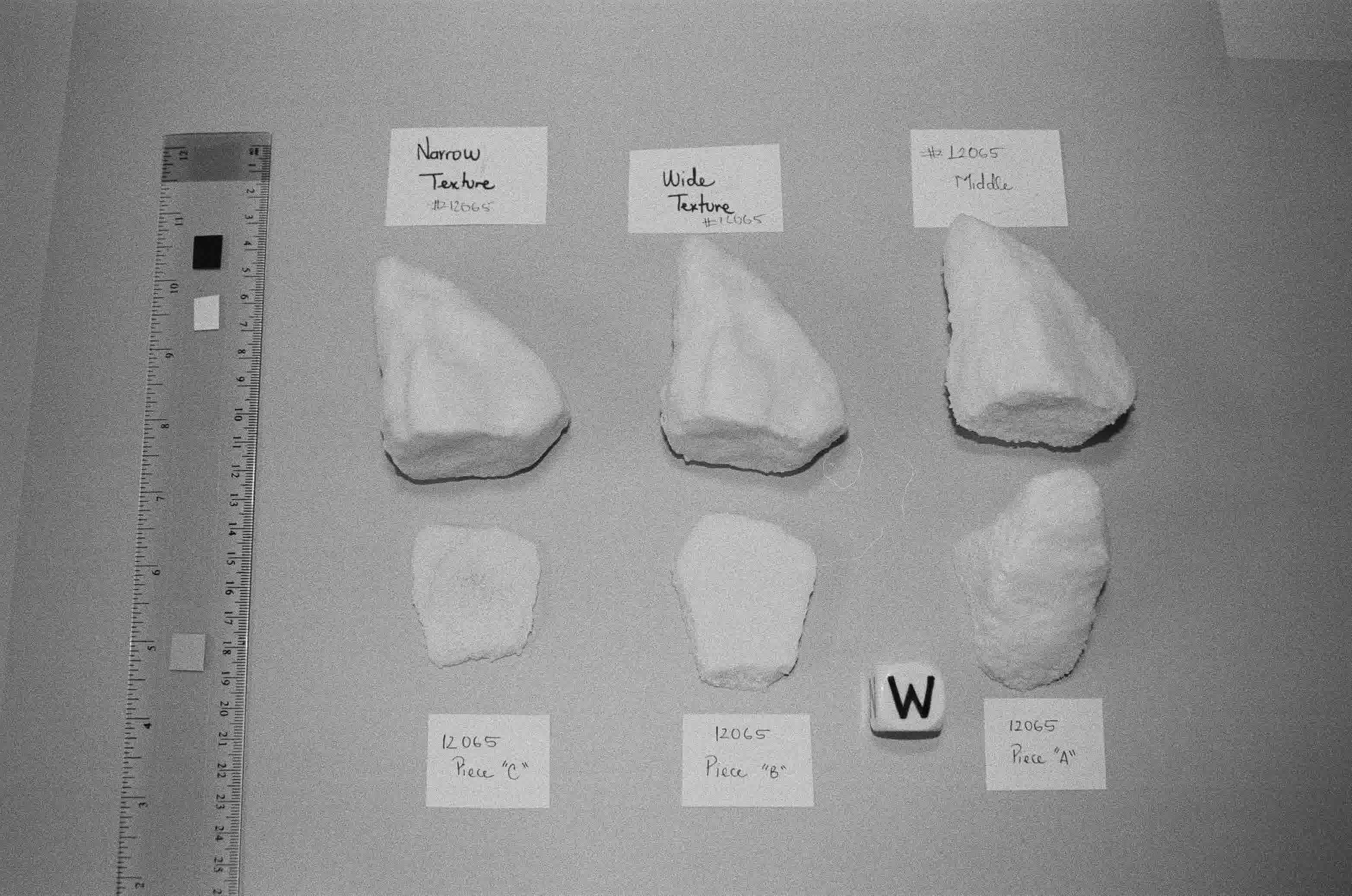 Six specimens